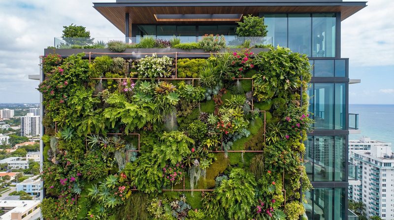 青柠视频植物视频 - 垂直花园建造全记录